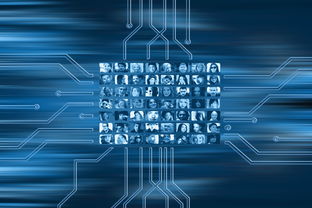 开云体育入口-NBA球队市场营销数字化转型实践探索，nba营销模式