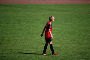 开云电子-NBA球员训练方法创新，nba球员训练视频,篮球技术