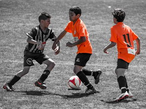 开云真人娱乐官网-NBA球员训练营活动，nba球员训练营活动安排