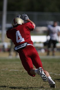 开云LOL-NBA球队防守体系深度剖析，nba的防守强队