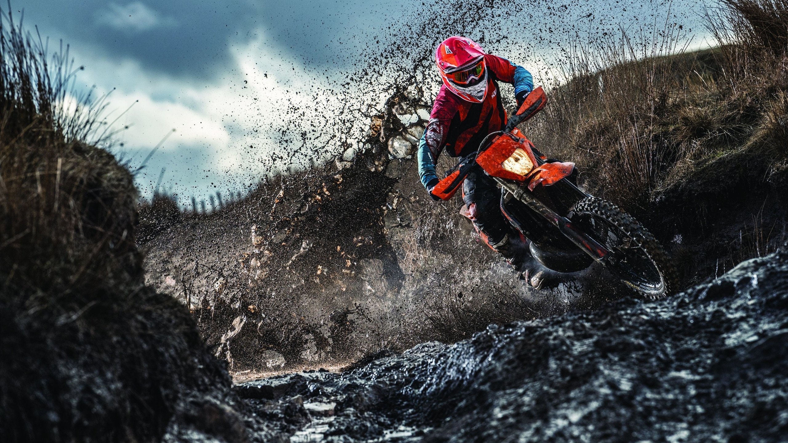 “亚戈·卡尔曼的球场智慧与执行力,成就美洲狮队的未来”